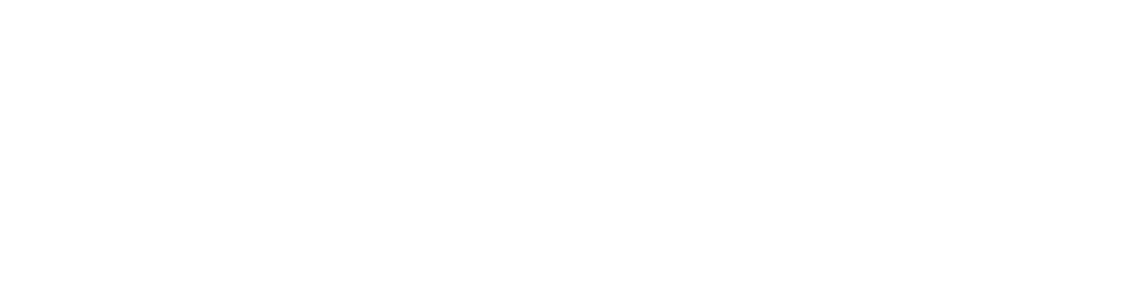 Kraus & Partner